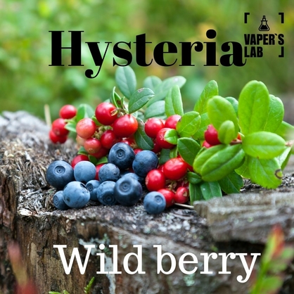 Фото, Видео на жижки Hysteria Wild berry 100 ml