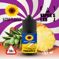  Native Flavour Pineapple 30