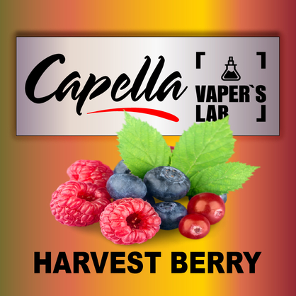 Фото на Арому Capella Harvest Berry Лісові ягоди