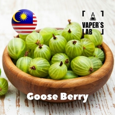 Malaysia flavors "Goose Berry"