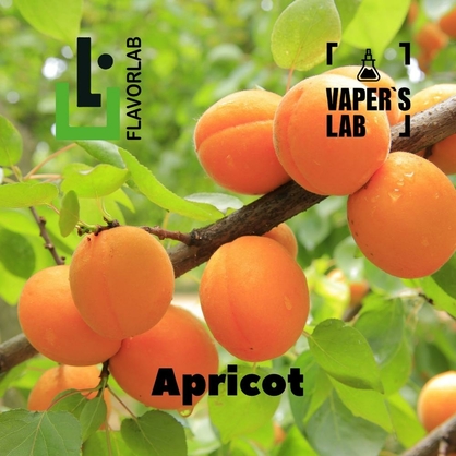 Фото на Ароматизаторы для вейпа Flavor Lab Apricot 10 мл