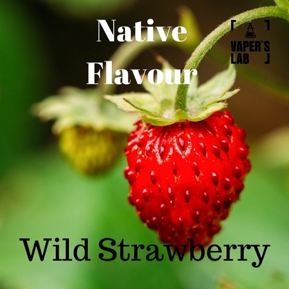 Фото купить заправку для вейпа native flavour wild strawberry 120 ml