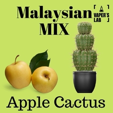 Купити заправку на сольовому нікотині Malaysian MIX Salt Apple cactus