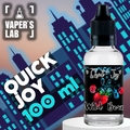 Quick Joy 100 мл - Жидкость для электронных сигарет, жидкость для вейпа 
