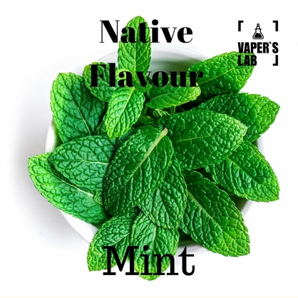 Фото, Видео на Жижи без никотина Native Flavour Mint 100 ml