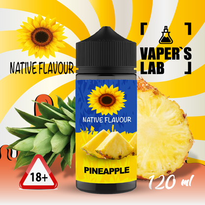 Фото купить жижу для вейпа без никотина native flavour pineapple 120 ml