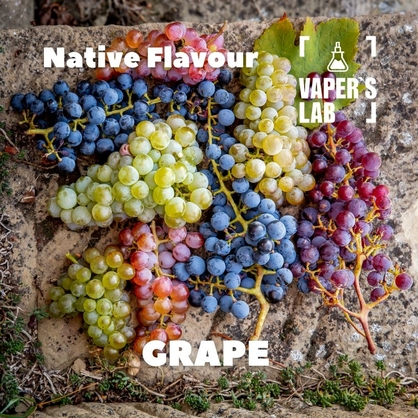 Фото, Відеоогляди на Компоненти для рідин Native Flavour "Grape" 30мл 