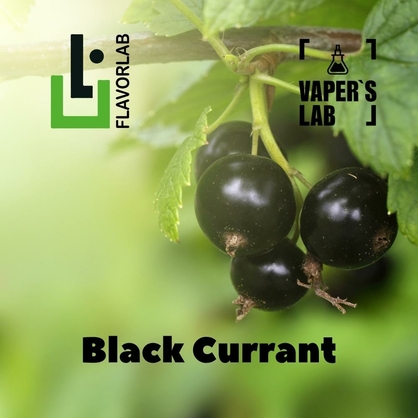 Фото, Відеоогляди на Аромки для вейпа Flavor Lab Black Currant 10 мл