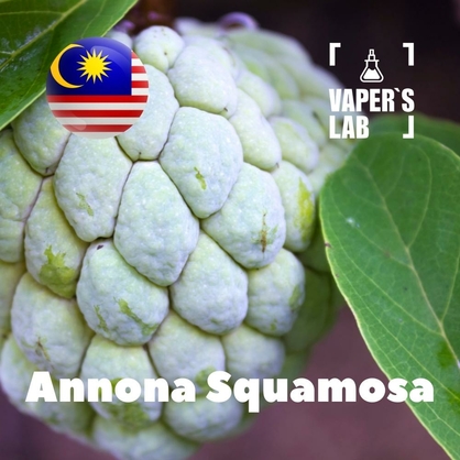 Фото на Ароматизатор для вейпа Malaysia flavors Annona squamosa