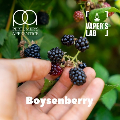 Фото, Видео, Ароматизатор для вейпа TPA "Boysenberry" (Бойзенова ягода) 