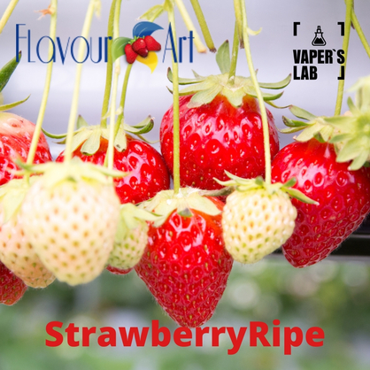 Фото, Відеоогляди на Аромку для вейпа FlavourArt StrawberryRipe