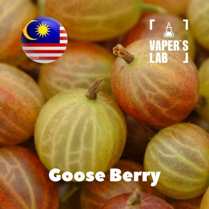 Фото на Ароматизаторы для вейпа Malaysia flavors Goose Berry