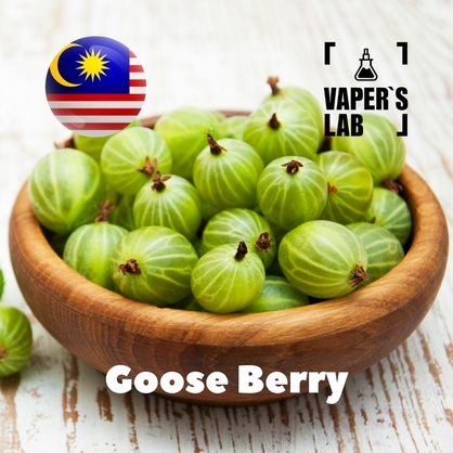 Фото на Ароматизаторы для вейпа Malaysia flavors Goose Berry