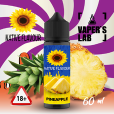 Жидкости для вейпа Native Flavour Pineapple 60