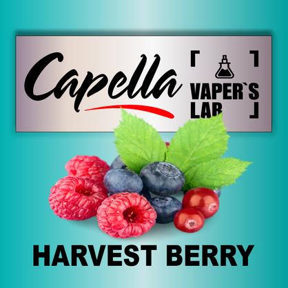 Фото на Арому Capella Harvest Berry Лісові ягоди