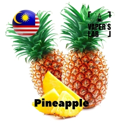 Фото на Ароматизаторы для вейпа Malaysia flavors Pineapple