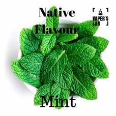 Native Flavour 100 мл Mint