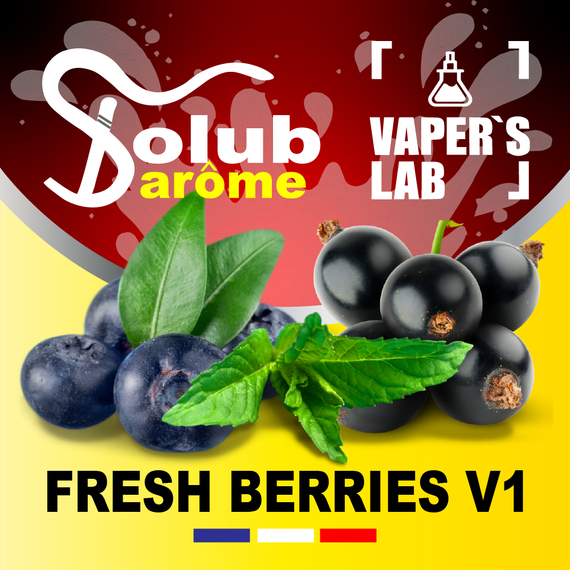 Отзывы на Аромки для самозамеса Solub Arome "Fresh Berries v1" (Черника смородина мята ментол) 