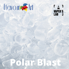 Ароматизаторы для солевого никотина   FlavourArt Polar Blast Охладитель