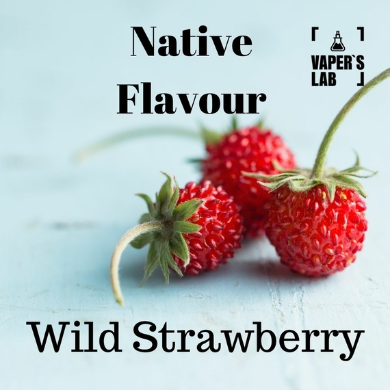 Відгуки  заправка для пода з нікотином native flavour wild strawberry 15 ml