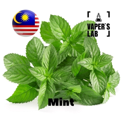 Фото на Ароматизаторы для вейпа Malaysia flavors Mint