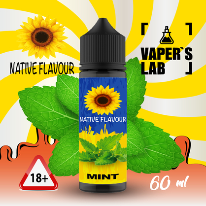 Фото жидкость для электронных сигарет купить native flavour mint 60 ml