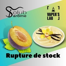  Solub Arome Rupture de stock Слива с ванильным кремом