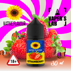 Жидкость для Пода Native Flavour Strawberry 30 ml