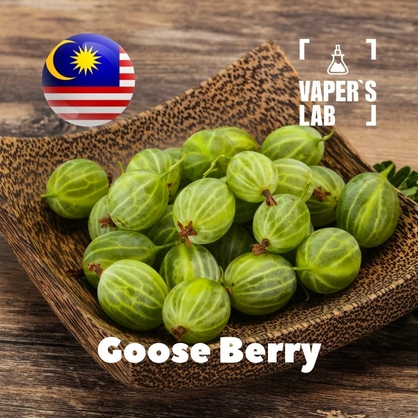 Фото на Ароматизаторы для вейпа Malaysia flavors Goose Berry