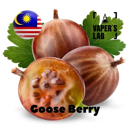 Фото на Ароматизаторы для вейпа Malaysia flavors Goose Berry