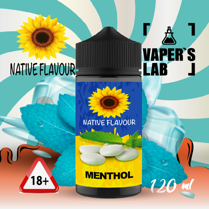 Фото жижа для вейпа native flavour menthol 120 ml