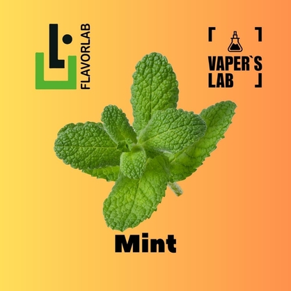 Фото, Відеоогляди на Аромку для вейпа Flavor Lab Mint 10 мл