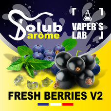 Набор для самозамеса Solub Arome Fresh Berries v2 Черника смородина мята ментол