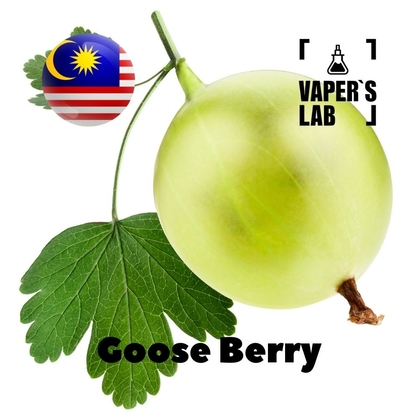 Фото на Ароматизаторы для вейпа Malaysia flavors Goose Berry