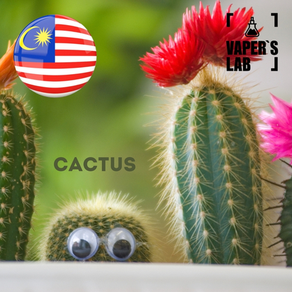 Фото на Ароматизаторы для вейпа Malaysia flavors Cactus