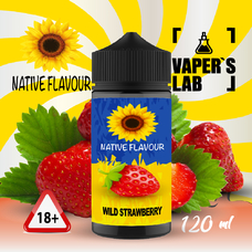 Купити рідину для електронних сигарет Native Flavour Wild Strawberry