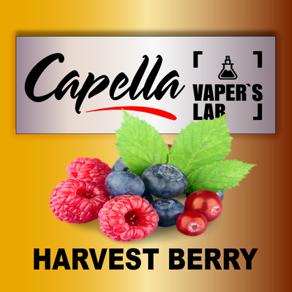 Фото на Арому Capella Harvest Berry Лісові ягоди