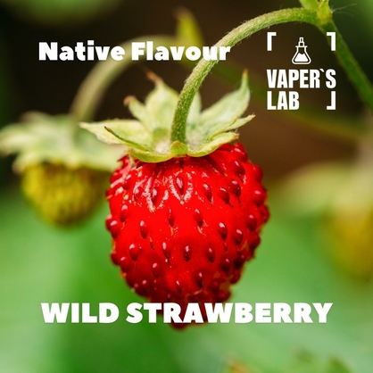 Фото, Відеоогляди на Ароматизатори смаку Native Flavour "Wild Strawberry" 30мл 