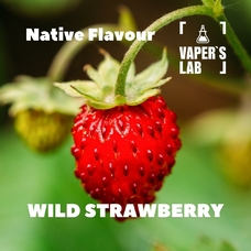 Кращі смаки для самозамісу Native Flavour Wild Strawberry 30мл