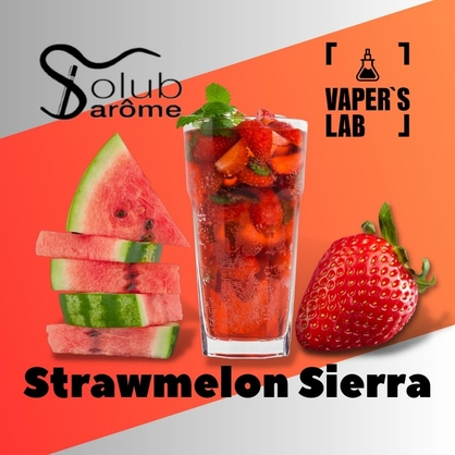 Фото, Відеоогляди на Преміум ароматизатор для електронних сигарет Solub Arome "Strawmelon Sierra" (Коктейль з кавуном та полуницею) 