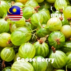 Лучшие пищевые ароматизаторы  Malaysia flavors Goose Berry