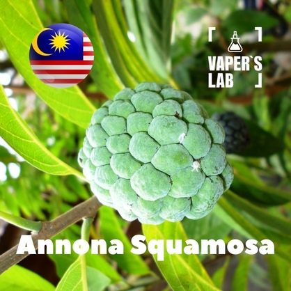 Фото на Ароматизатор для вейпа Malaysia flavors Annona squamosa