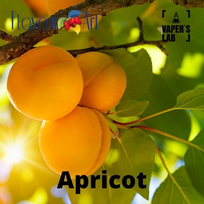 Фото на Аромки  для вейпа FlavourArt Apricot Абрикос