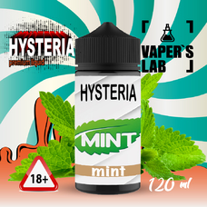 Жидкости для вейпа Hysteria Mint 120