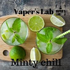 Заправки для вейпа Vapers Lab Minty chill 30 ml