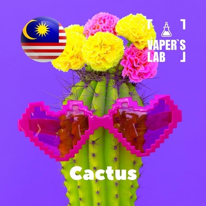 Фото на Ароматизаторы для вейпа Malaysia flavors Cactus