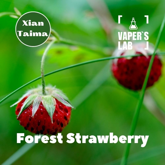 Відгуки на Ароматизатори для рідин Xi'an Taima "Forest Strawberry" (Суниця) 