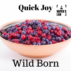 Купити жижу для вейпа дешево Quick Joy Wild Born 100 ml