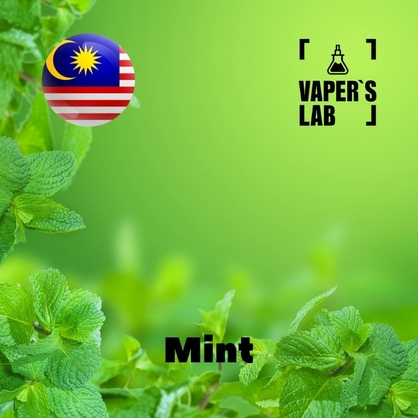 Фото на Ароматизаторы для вейпа Malaysia flavors Mint