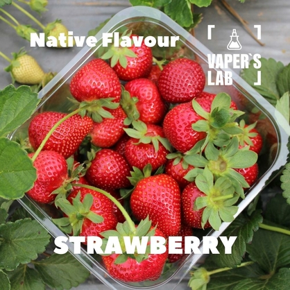 Фото, Відеоогляди на Преміум ароматизатор для електронних сигарет Native Flavour "Strawberry" 30мл 